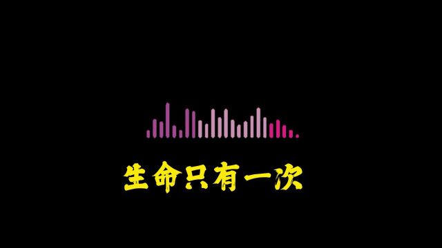 人生是一场狂野的旅程,不是一条固定的轨道.我们应该勇敢地追求自己的梦想,不受任何束缚.