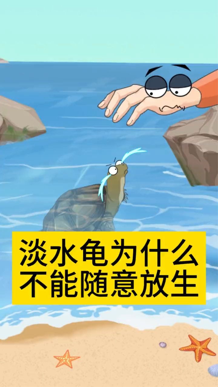 淡水龟为什么不能随意放生?_腾讯视频