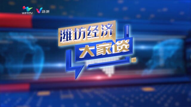 《潍坊经济大家谈》敢作为勇担当以高质量审计护航潍坊高质量发展