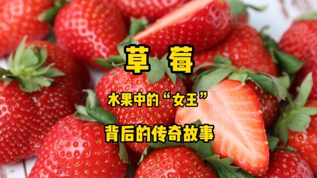 它被誉为水果中的“女王”,色艳味美,听过它背后的传奇故事吗?