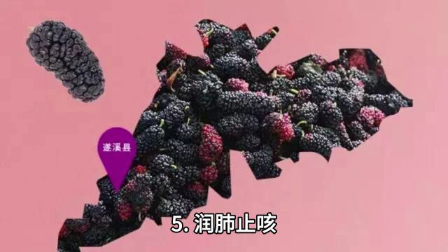 桑葚原浆是什么?经常喝桑葚原浆,6大好处不请自来