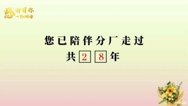 退休祝福视频