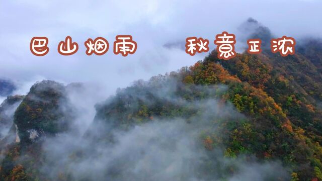 “醉美红叶 出彩镇坪”| 镇坪县首届红叶节(航拍大赛)暨重点项目展示展播——《巴山烟雨 秋意正浓》