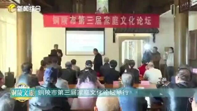 《铜陵文旅》丁纯调研文化旅游工作|我市建设繁荣兴盛的文化强市……