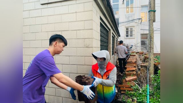 油坊村人居环境整治本周集锦