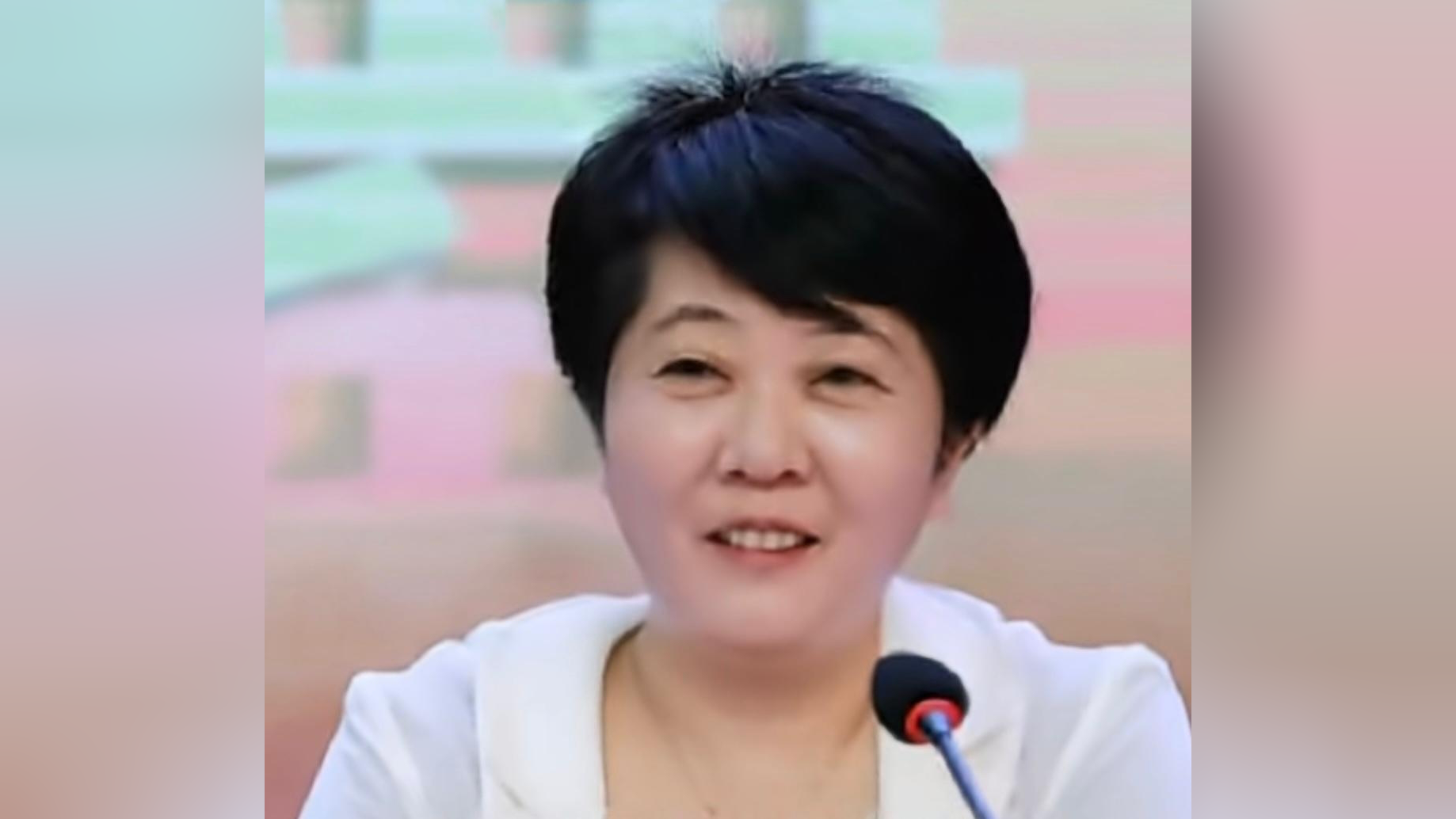 海南省委巡视组原副组长吴杰被查,她曾任法院院长