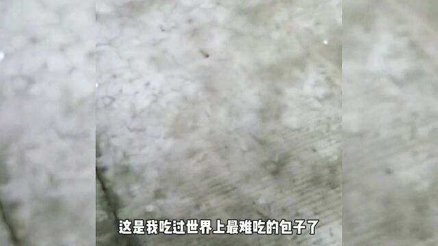 花式海鲜包,你绝对没吃过. #搞笑 #搞笑配音 #谁才是搞笑王