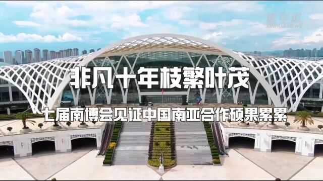 新华全媒+|非凡十年枝繁叶茂——七届南博会见证中国南亚合作硕果累累