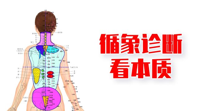 循象中医诊断,发现疾病和亚健康的本质,更早于检测化验