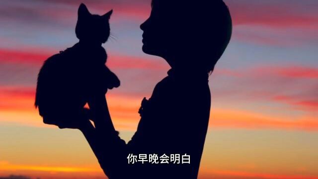 “猫系”女人才是爱情中永远的赢家