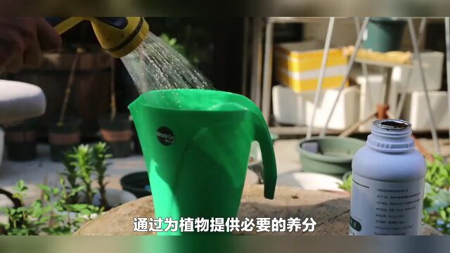 植物营养液企业标准备案,营养液执行标准号办理