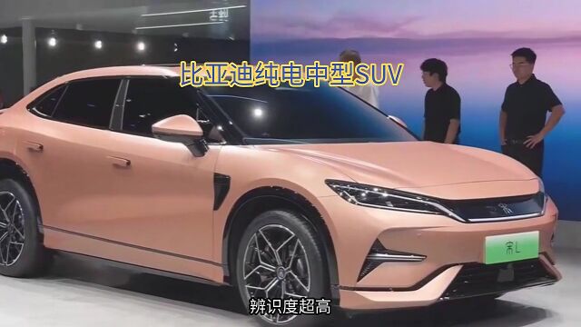 比亚迪纯电中型SUV