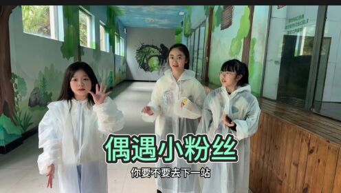静宝和妹妹打卡野生动物园，去寻找小时候的回忆，还偶遇了小粉丝_高清