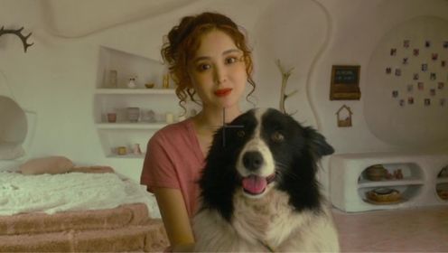 暑期档最惨电影《爱犬奇缘》，冯绍峰娜扎主演票房还没破百万！