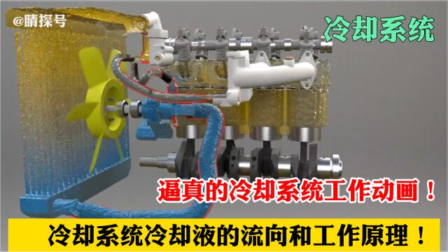 逼真的动画,帮助你清晰的理解冷却系统的工作原理