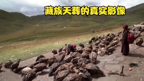 藏族习俗天葬的真实影像 满地的秃鹫和碎骨 纪录片