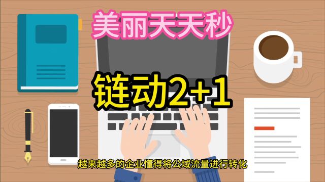 美丽天天秒的引流模式,链动2+1玩法升级,实现引流与转化