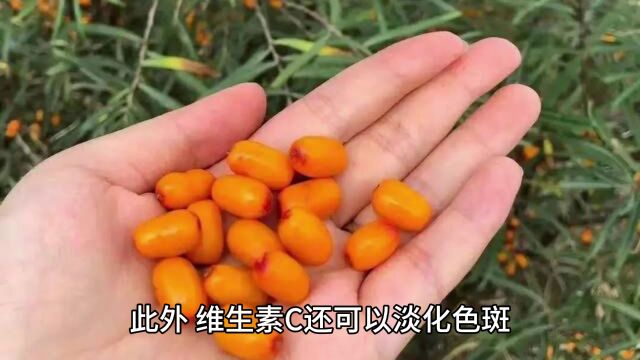 维生素c的作用和功效