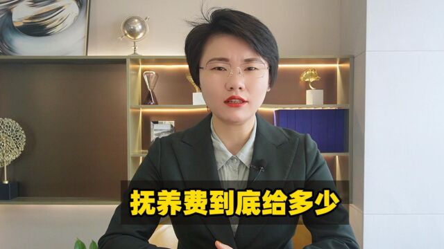 抚养费到底给多少