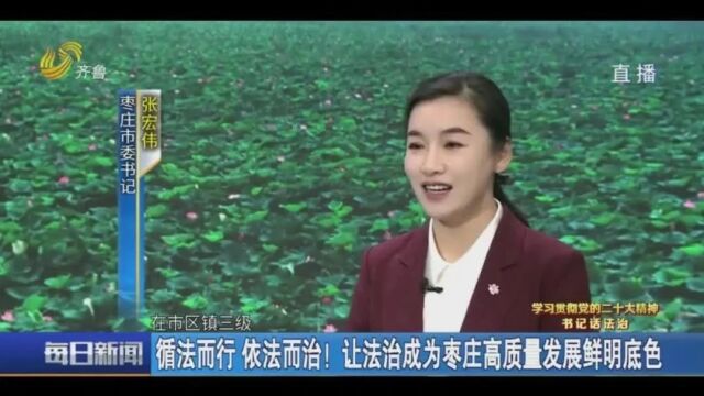 【书记话法治】张宏伟:循法而行 依法而治 让法治成为枣庄高质量发展鲜明底色