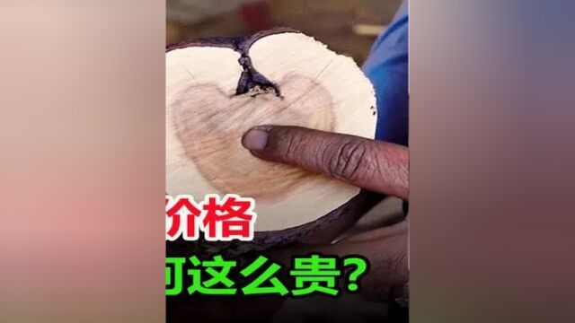 檀香木为何会这么香?