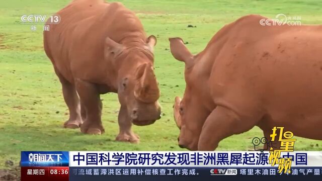 中国科学院研究发现非洲黑犀起源于中国