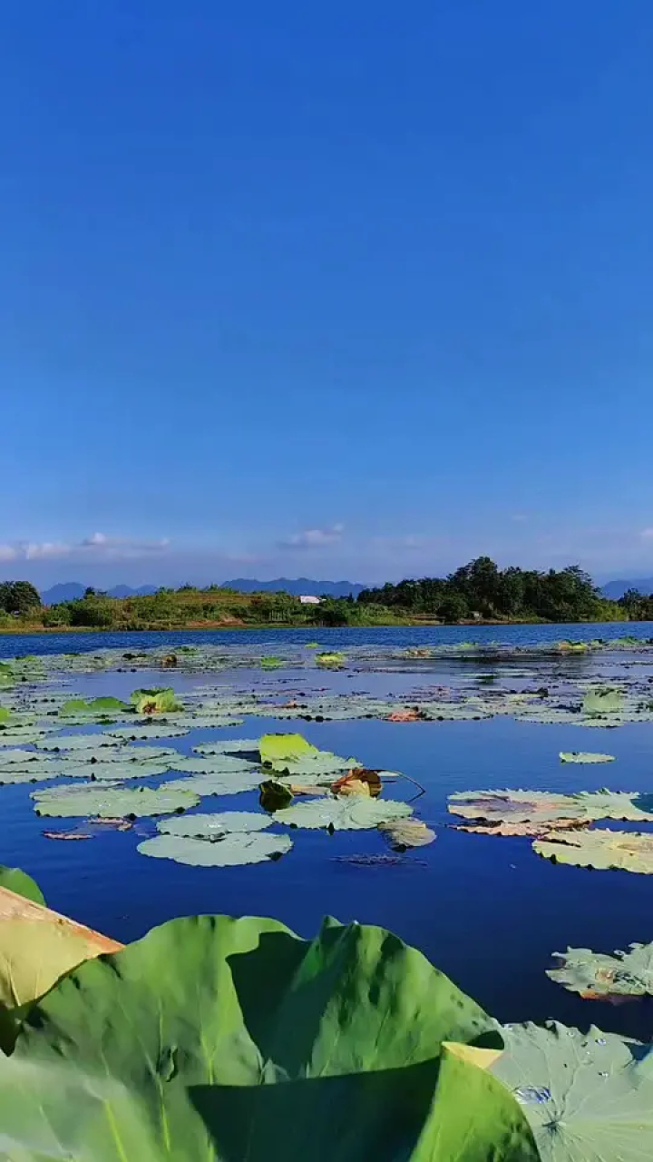怀旧经典#老歌回顾 #洪湖水浪打浪