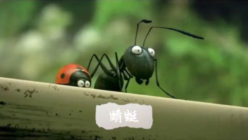 《蜻蜓》#动画片 #少儿动画片推荐 #昆虫总动员 #微观小世界