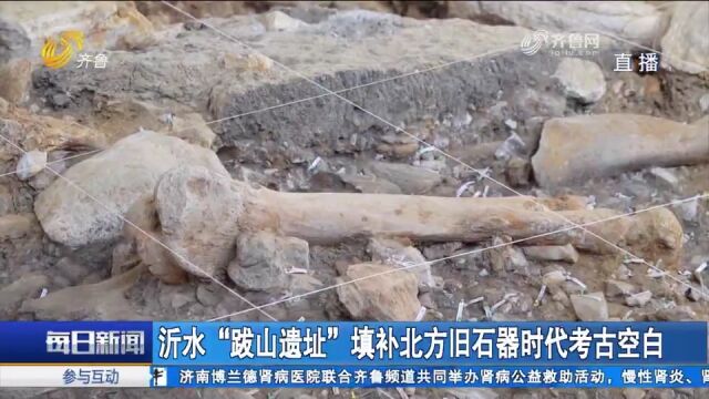 出土文物2.6万多件!沂水跋山遗址填补北方旧石器时代考古空白