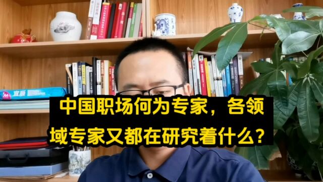 中国职场何为专家,各领域专家又都在研究着什么?