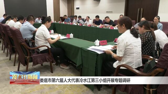 娄底市第六届人大代表冷水江第三小组开展专题调研