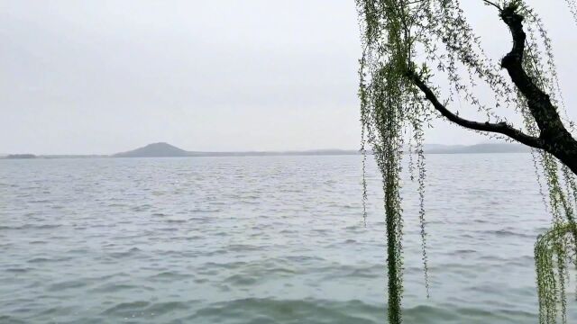 自古以来就是游览胜地,拥有景观景点100多处.武汉东湖(十三)