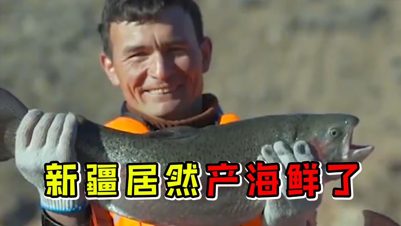 离海最远的新疆，居然卖起海鲜 高清1080p在线观看平台 腾讯视频