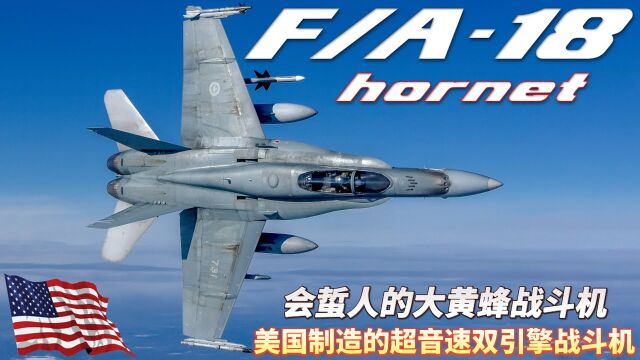 会蜇人的FA18大黄蜂战斗机:曾经的美国海军主力舰载战斗机