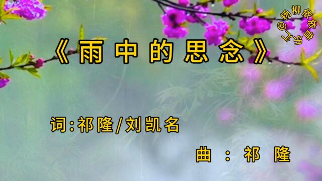 祁隆一首《雨中的思念》,旋律优美动听,歌词深情感人,好听极了!