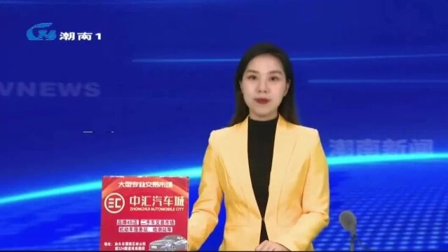 张晓铿督导“巩卫”工作 强调要立好标准、抓好规范