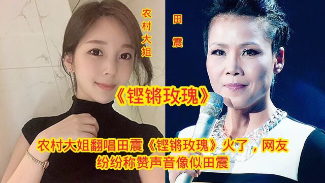 农村大姐翻唱.翻唱《铿锵玫瑰》,网友称赞声音极田震,难以区分