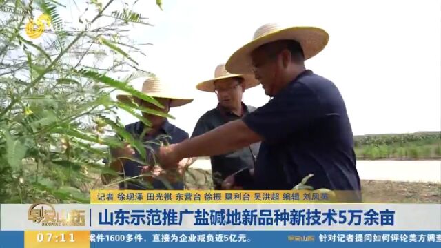 山东选育耐盐碱新品种39个,示范推广盐碱地新品种新技术5万余亩