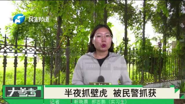 河南濮阳:父子俩深夜抓壁虎775只,结果把自己送进派出所!