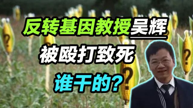 反转基因教授吴辉被殴打致死,谁干的?