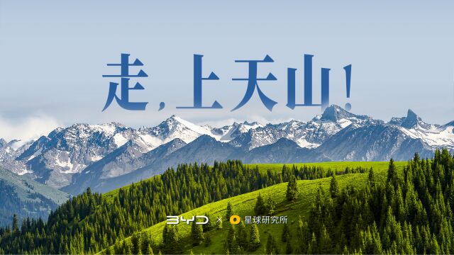 当比亚迪汽车遇上新疆天山