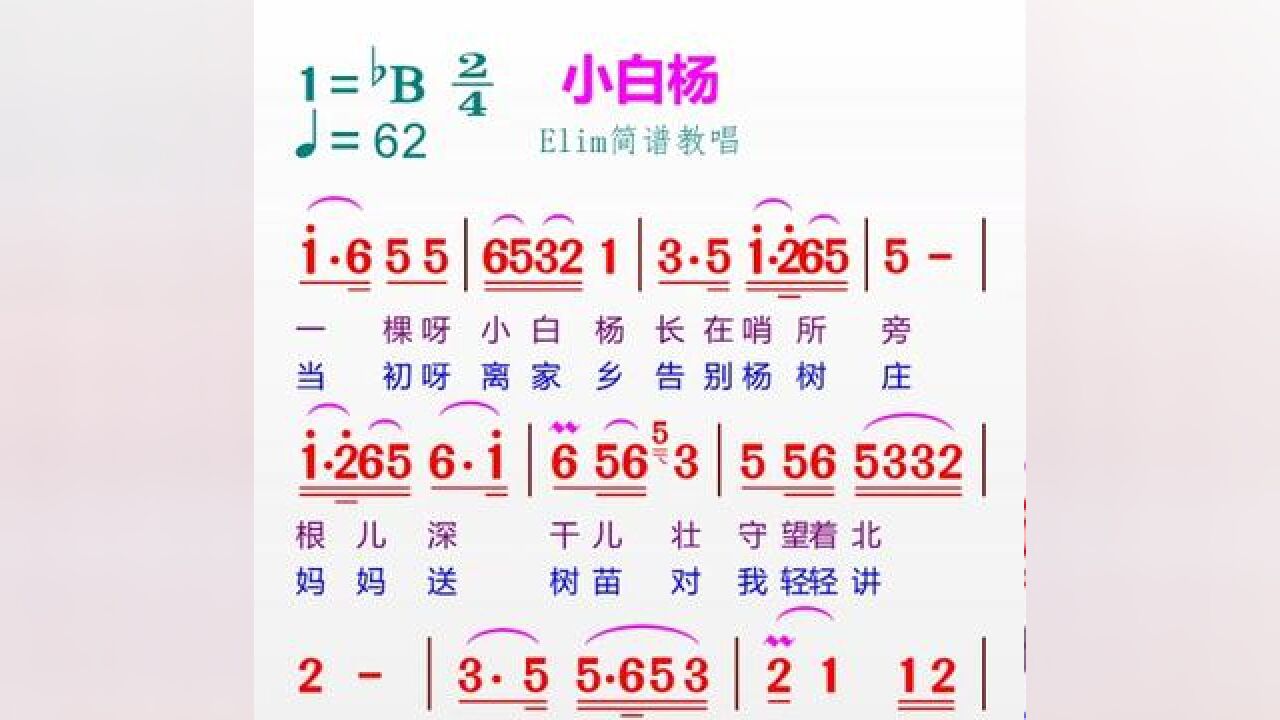 《小白杨》#动态谱 #零基础学简谱 #唱谱 #每天学习一点点 #教学简谱