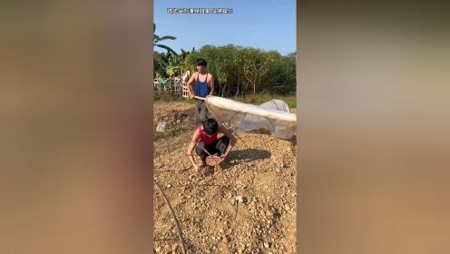 干啥啥不行,吃花生第一名!_高清1080P在线观看平台_腾讯视频