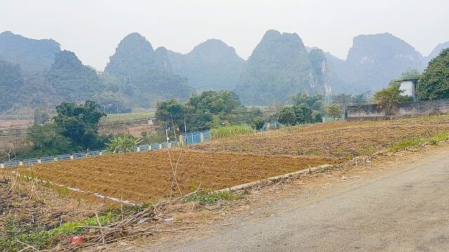 一边中国一边越南,两国交界处语言一样吗,听听边界村民咋说