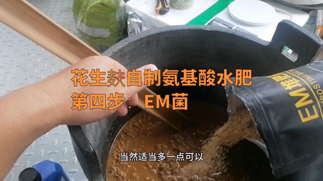 花生麸发酵第4步:EM菌!过期酵母或者酸奶都可以提升发酵