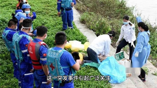 郴州市副主任坠江身亡:官场救火英雄黄四平的悲剧命运引发舆论哗然)