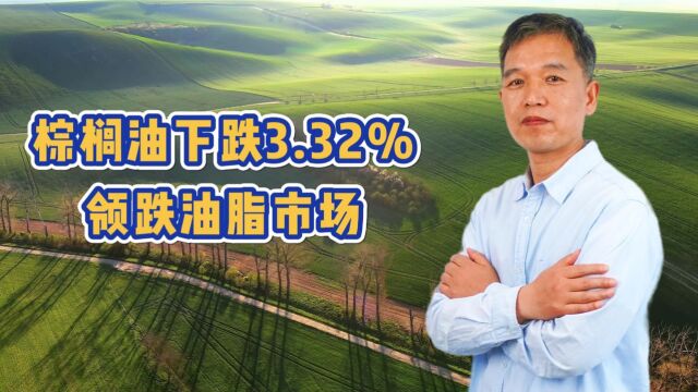 棕榈油下跌3.32%领跌油脂市场