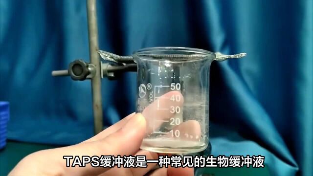 TAPS缓冲液与其他常见生物缓冲液的比较