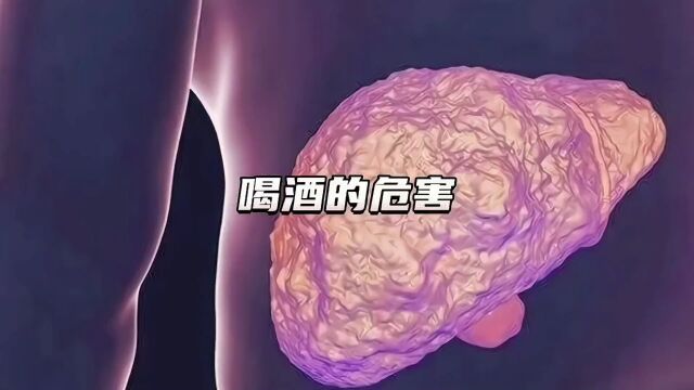 长期喝酒对身体有什么危害?喝酒后身体会有什么变化