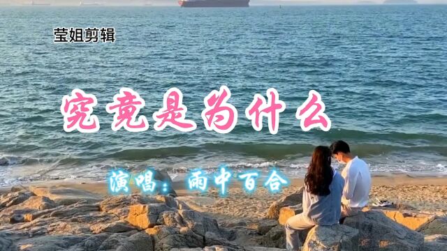 《究竟是为什么》雨中百合演唱,旋律优美,伤感动听